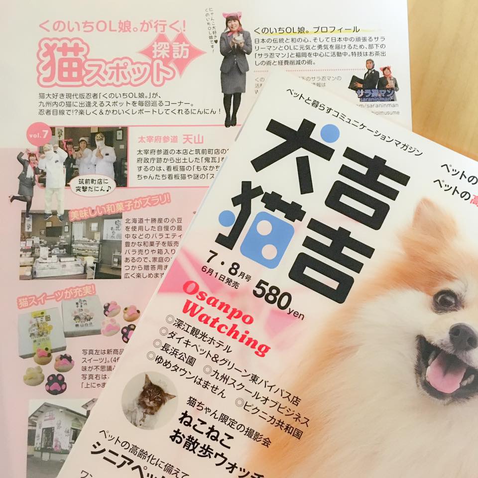 犬吉猫吉九州版「くのいちOL娘。が行く！猫スポット探訪」7・8月号